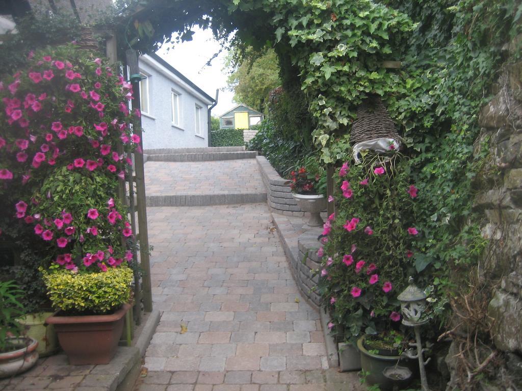 Ashleigh House Bed & Breakfast Monaghan Exterior foto
