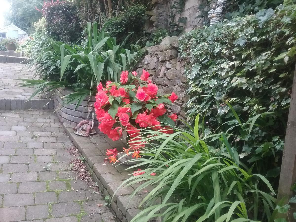 Ashleigh House Bed & Breakfast Monaghan Exterior foto
